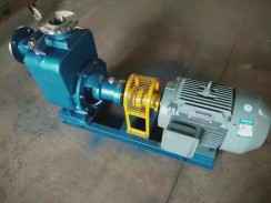 河北不(bu)鏽鋼自吸泵(beng)