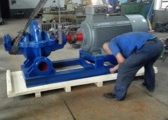 雙(shuang)吸中開泵