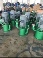 河北(běi)WFB自控自吸泵(beng)